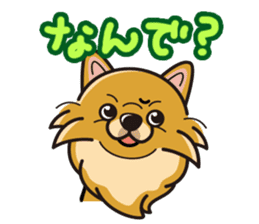 iinu - Pomeranian sticker #3837212