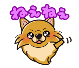 iinu - Pomeranian sticker #3837216