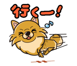 iinu - Pomeranian sticker #3837217