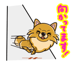 iinu - Pomeranian sticker #3837218