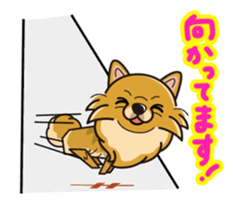 iinu - Pomeranian sticker #3837218
