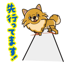 iinu - Pomeranian sticker #3837219