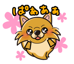 iinu - Pomeranian sticker #3837220