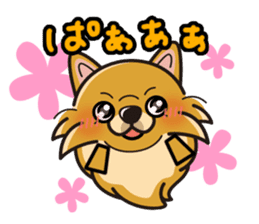 iinu - Pomeranian sticker #3837220