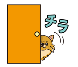 iinu - Pomeranian sticker #3837221