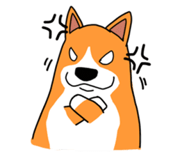 Corgi Sticker(part3) sticker #3839641