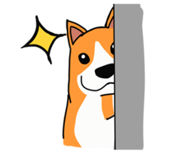 Corgi Sticker(part3) sticker #3839645