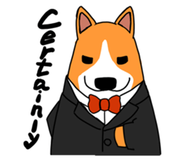 Corgi Sticker(part3) sticker #3839653