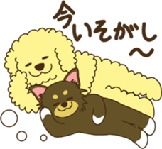 Poodle & Chihuahua2 sticker #3840387