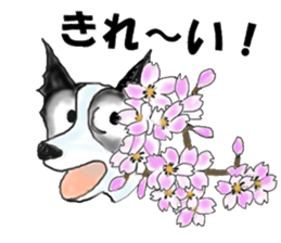border collie Part3 Spring sticker #3841664