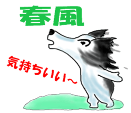 border collie Part3 Spring sticker #3841666