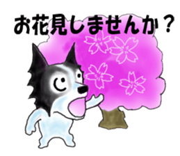 border collie Part3 Spring sticker #3841675