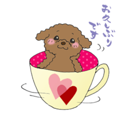 Teacup life of the poodle "cocoa" sticker #3845705