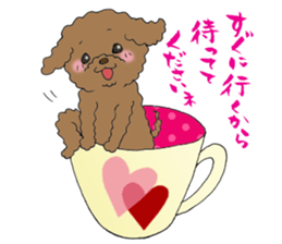 Teacup life of the poodle "cocoa" sticker #3845716