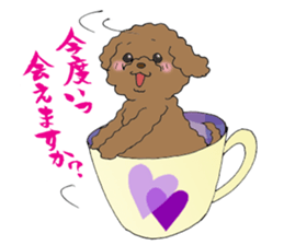 Teacup life of the poodle "cocoa" sticker #3845721