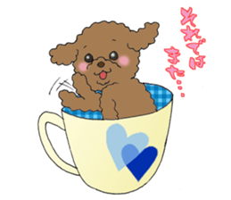 Teacup life of the poodle "cocoa" sticker #3845742