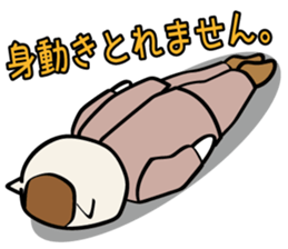 Cat of company sticker #3847972