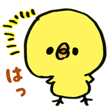 Loose chick Sticker "Piyotaso" sticker #3850386