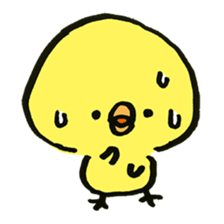 Loose chick Sticker "Piyotaso" sticker #3850388