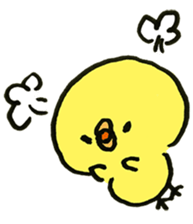 Loose chick Sticker "Piyotaso" sticker #3850400