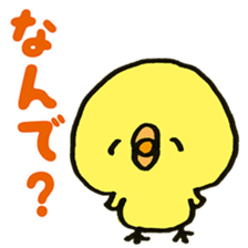 Loose chick Sticker "Piyotaso" sticker #3850408
