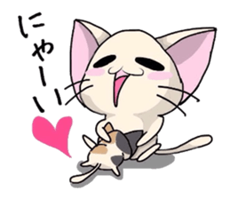 White cat and tortoiseshell cat sticker #3851212