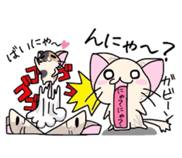 White cat and tortoiseshell cat sticker #3851217