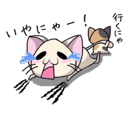 White cat and tortoiseshell cat sticker #3851230