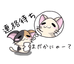 White cat and tortoiseshell cat sticker #3851236