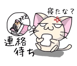 White cat and tortoiseshell cat sticker #3851237