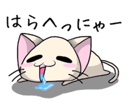 White cat and tortoiseshell cat sticker #3851240