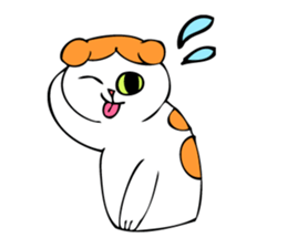 Cat's life of MoMo & Coco sticker #3851410