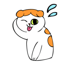 Cat's life of MoMo & Coco sticker #3851410