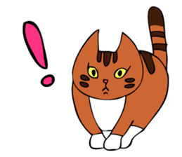 Cat's life of MoMo & Coco sticker #3851413