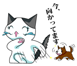 Sticker of My cat2 sticker #3853094