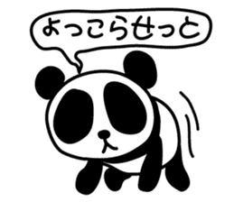 Panda SHIRATAMA sticker #3853574