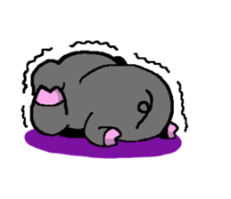 kumakiti and butarou sticker #3854641