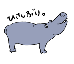 hippopotamus's sticker sticker #3856331