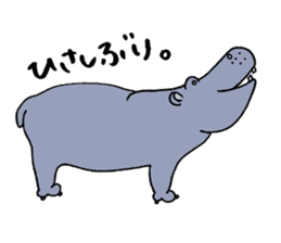 hippopotamus's sticker sticker #3856331