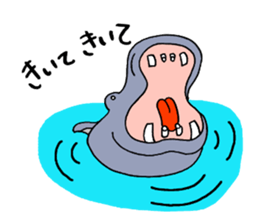 hippopotamus's sticker sticker #3856332