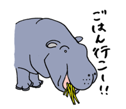hippopotamus's sticker sticker #3856340
