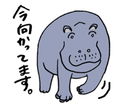 hippopotamus's sticker sticker #3856342