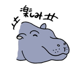 hippopotamus's sticker sticker #3856347