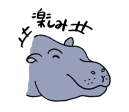 hippopotamus's sticker sticker #3856347