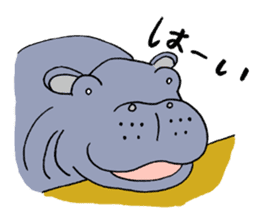 hippopotamus's sticker sticker #3856348