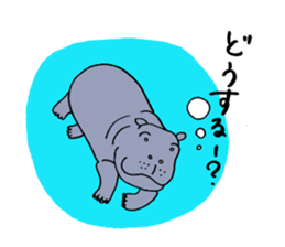hippopotamus's sticker sticker #3856350