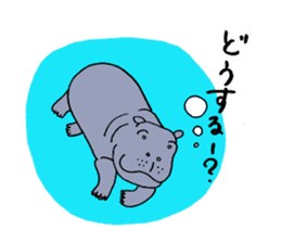 hippopotamus's sticker sticker #3856350