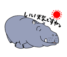 hippopotamus's sticker sticker #3856356