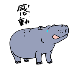 hippopotamus's sticker sticker #3856357
