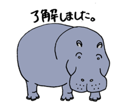 hippopotamus's sticker sticker #3856358